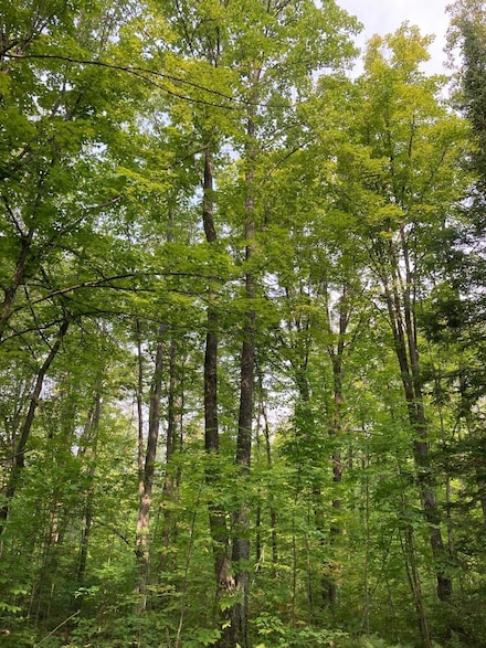 ON Cedar Falls Rd Unit 4089-A, Tomahawk, WI 54487