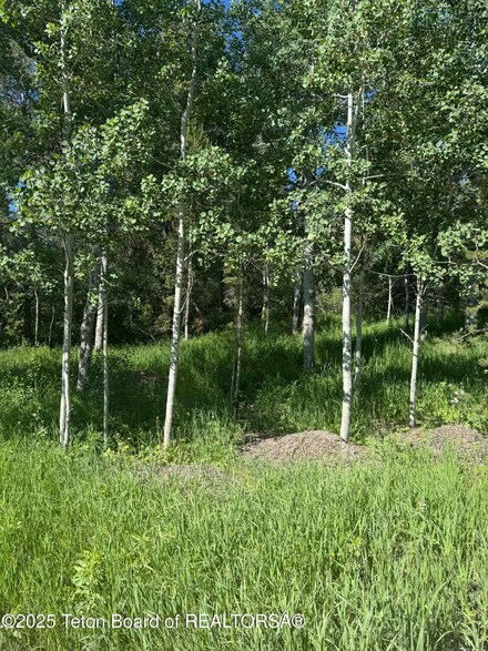 L22 Caribou Forest Dr, Alpine, WY 83128