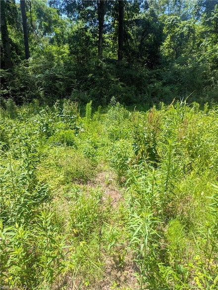 4172 West Dr, Cape Charles, VA 23310