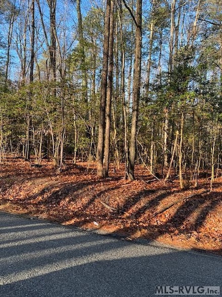 000 County Pond Rd, Triplet, VA 23868