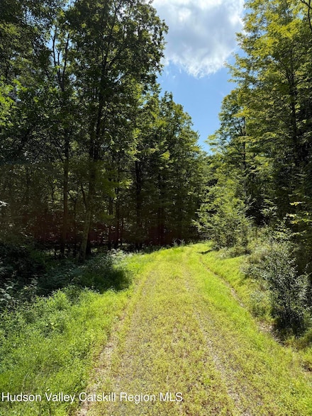 36 Bacon Dr, Livingston, NY 12523