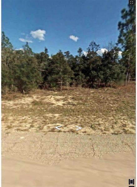 5886 N Matheson Dr, Pine Ridge, FL 34434