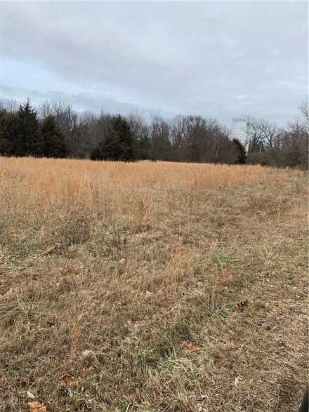 Tract 6 Doc Meyer Rd, Seligman, MO 65745