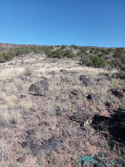 TBD Enchanted Mesa Trail, Grants, NM 87020