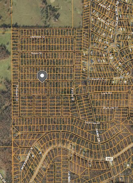 1504 Raven Ln, Horseshoe Bend, AR 72512
