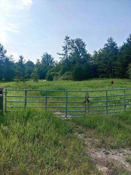 0 Michigan 72, Big Creek Township, MI 48636
