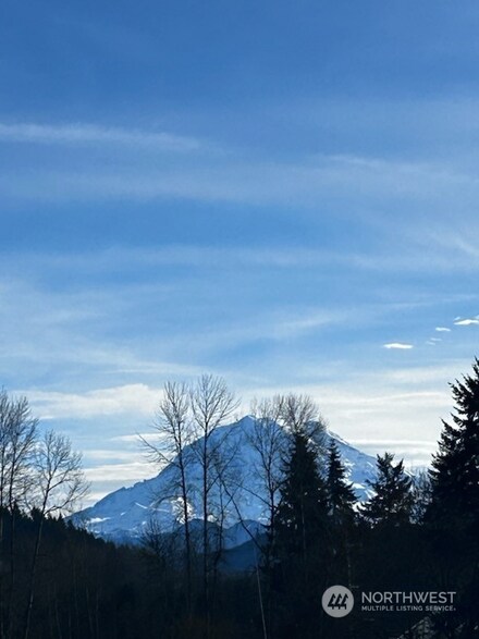 408 Leber St NE, Orting, WA 98360