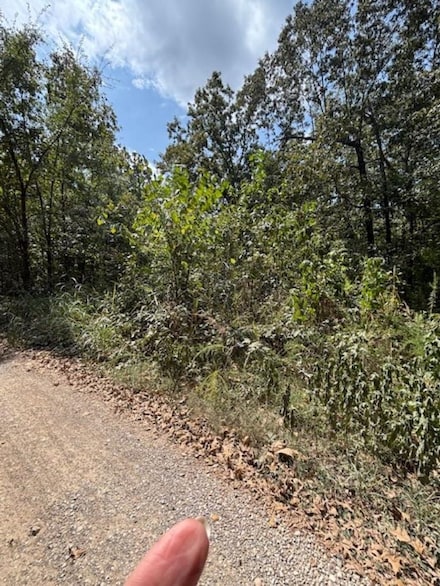 36 FM 101 Rd Highland Ln, Highland, AR 72542