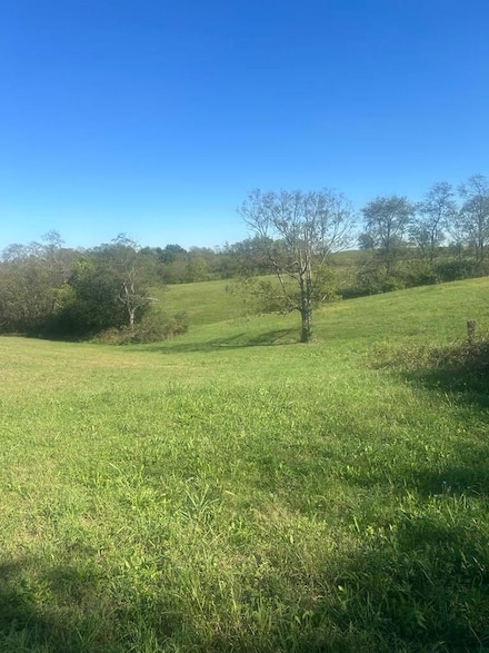 0 Hilltop Rd, Ewing, KY 41039