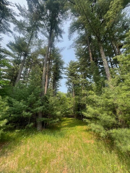 xxx W Benson Ave, Grantsburg, WI 54840