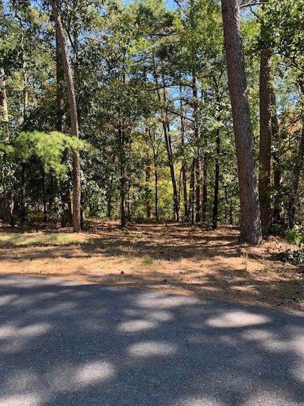 8 Alava Way, Hot Springs Village, AR 71909