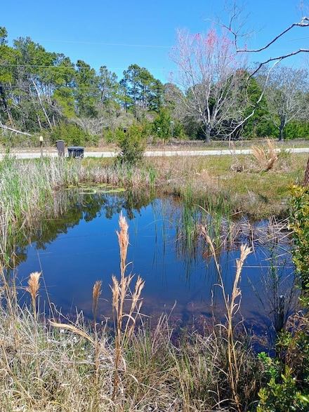 292 Woodill Rd, Carrabelle, FL 32322