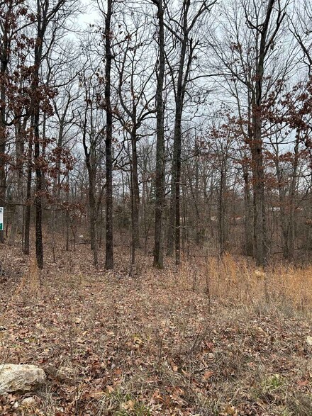 Lot 8 Blk 3 Medicine Lodge, Ozark Acres, AR 72482