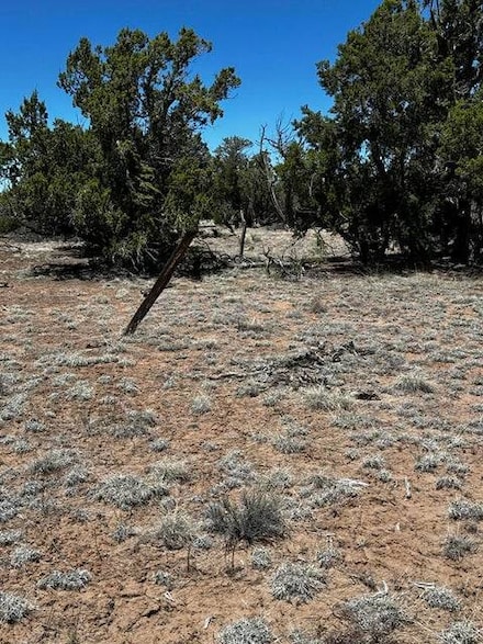 Xx Tomahawk Trail Unit 187, Quemado, NM 87829