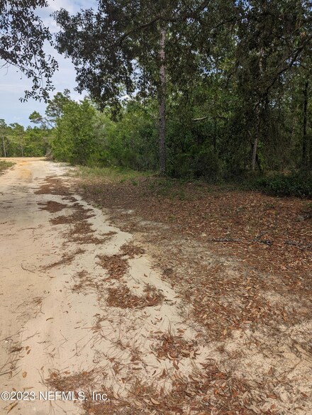 0 Gulf Ave Unit 1227539, Interlachen, FL 32148