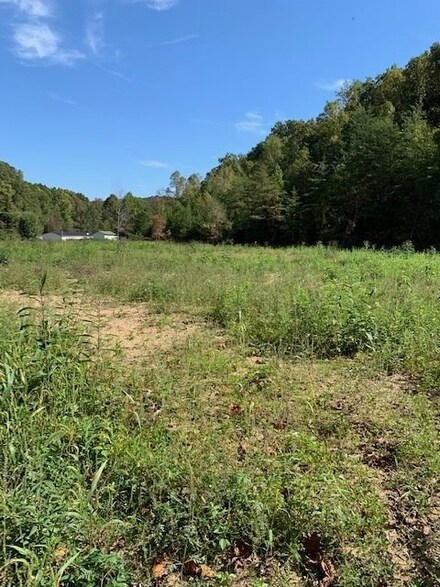 0 Canoe Run 70 + - Acres, Grayson, KY 41143