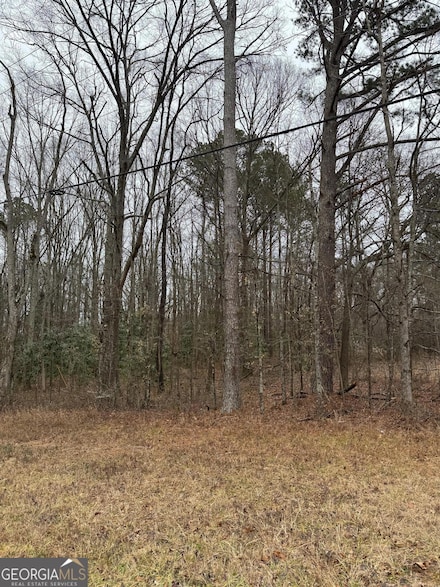 20470 Georgia 34, Franklin, GA 30217