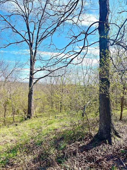 0 Old State Route 68, Ripley, OH 45167