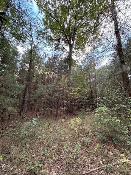 350 Walker Gravel Pit Rd, Dry Prong, LA 71423