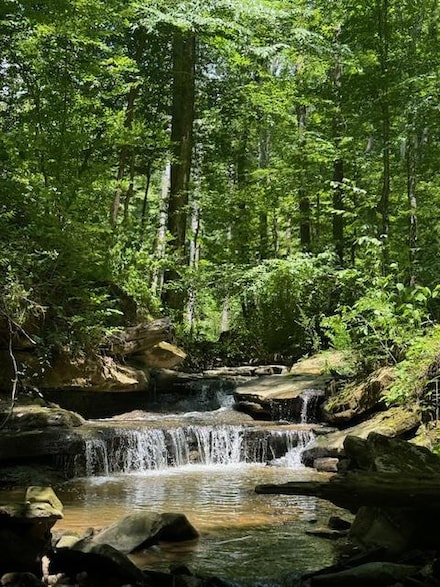 0 Monterey Hwy, Monterey, TN 38574