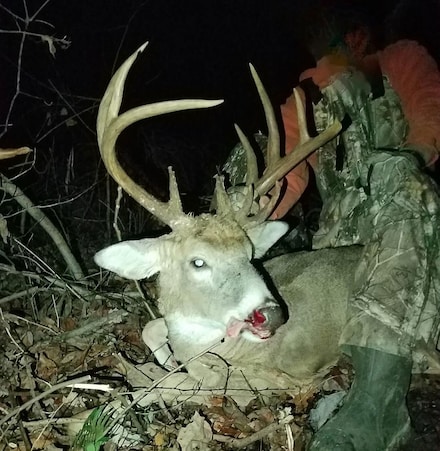 0 Spicy Run Rd, Idaho, OH 45661