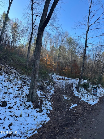 Tbd Old Highway Rd, Erwin, TN 37650