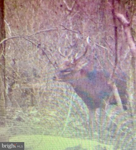 0 Goose Creek Rd, Toddville, MD 21672