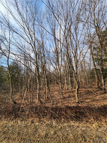 00 Jess Dr, Redfield, NY 13437