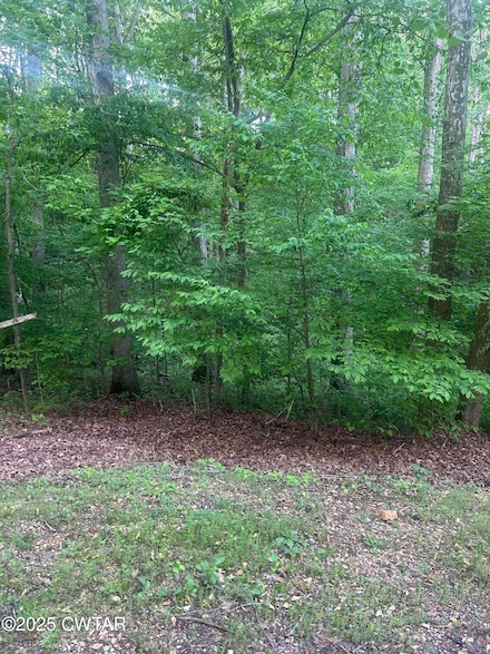 0 Cedar Ln, Sugar Tree, TN 38380