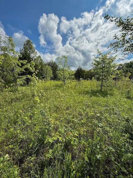 Arvilla Ln Unit LotWP001, Olive Hill, KY 41164