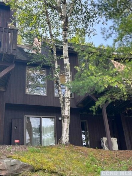 111 Brainard Ridge Rd Unit 11B, Windham, NY 12496