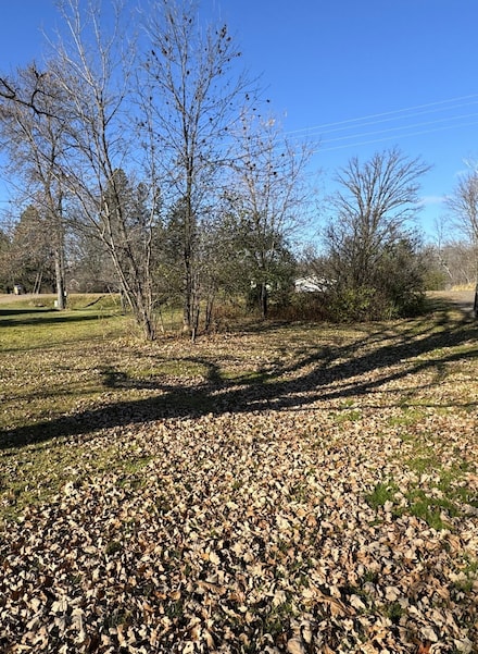 TBD 302xx 480th St, Palisade, MN 56469