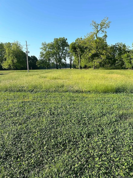 11070 Island Rd, Ventress, LA 70783