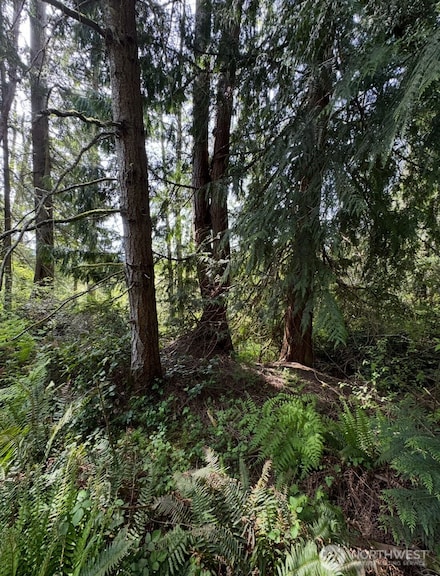 11106 Spruce Dr, Anderson Island, WA 98303
