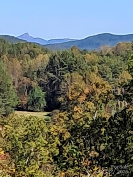 150 Summer's Way, Marion, NC 28752