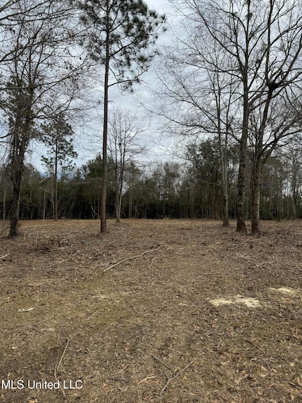 0 Highland Pkwy Unit 4102093, Picayune, MS 39466