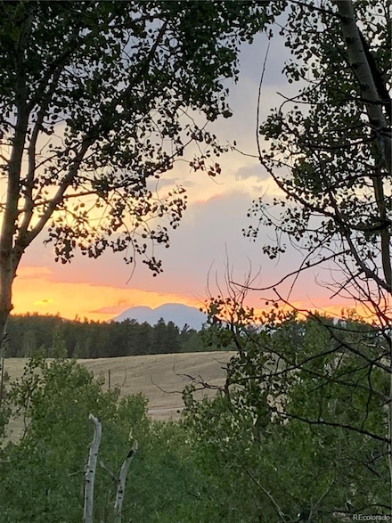 10073 Ranch Rd, Hartsel, CO 80449