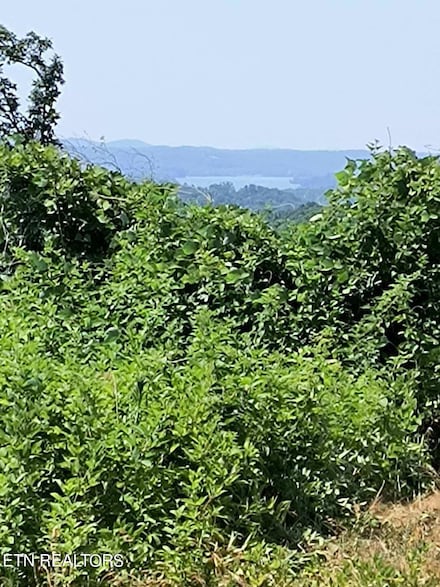 0 Ashe Cabin Hollow Rd, Harriman, TN 37748
