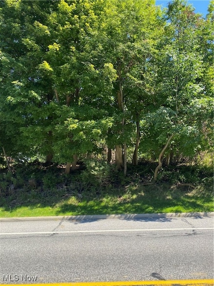 V/L Broadview Rd, Broadview Heights, OH 44147