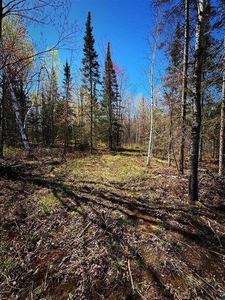000 Redinger Rd Unit 10 acres, White River, WI 54806