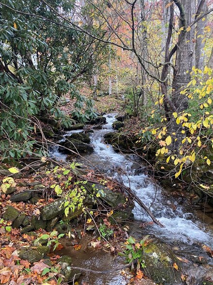 1950 Fisher Creek Rd, Sylva, NC 28779