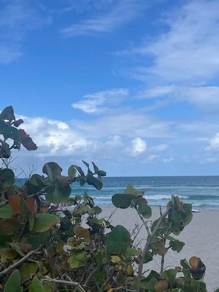 2080 S Ocean Dr Unit 505, Hallandale Beach, FL 33009