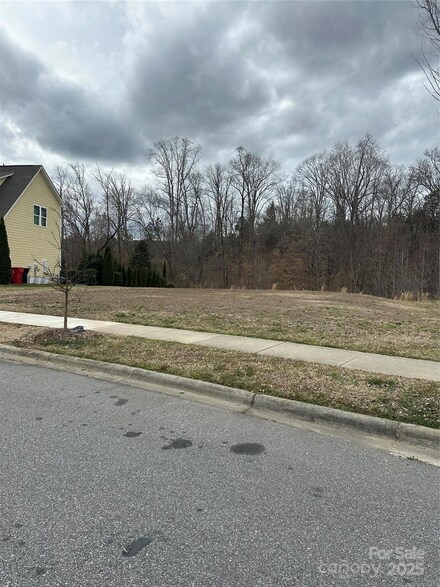 13713 Helen Benson Blvd, Davidson, NC 28036