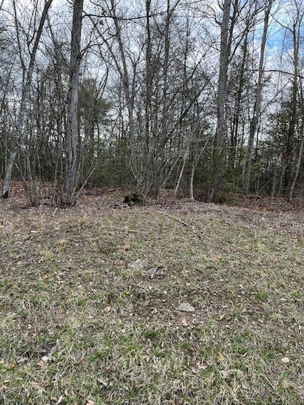 00 Riverglade Dr Unit 80, Glade Springs, WV 25832