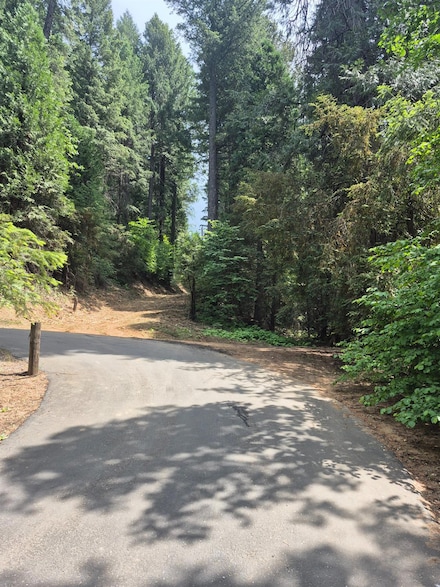 0 Mill Run Unit 225073833, Pollock Pines, CA 95726