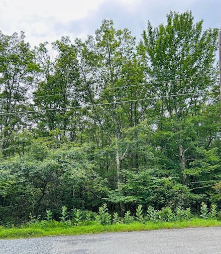 Lot A107 Chippy Cir, Jim Thorpe, PA 18229