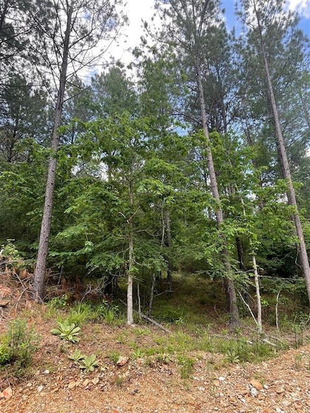 734 Timber Creek Trails South Xl, Broken Bow, OK 74728
