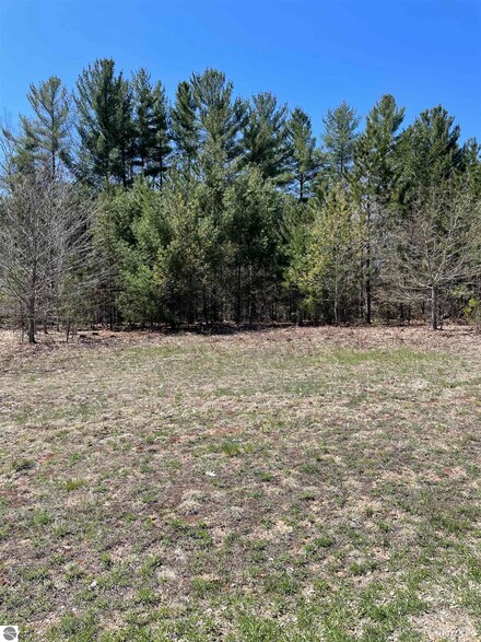 6373 Jeffrey Place Unit Lot 34, Grawn, MI 49637
