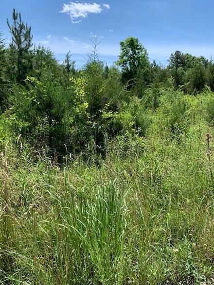 000 Wheatland Rd, Baskerville, VA 23915