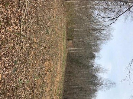 0 Big McFarland Rd Unit 1502610, Tompkinsville, KY 42167